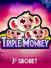Triple Monkey